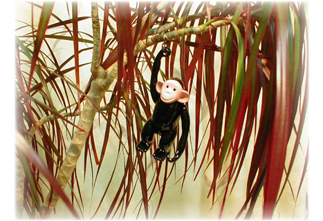 $BG/2l>u$K;H$C$?<L??!#%5%k7?%i%$%?!<$r%3%s%7%s%J$K3]$1$F!#(B